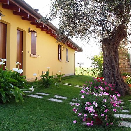 Agriturismo Tenuta Santa Maria Notaresco Exterior foto