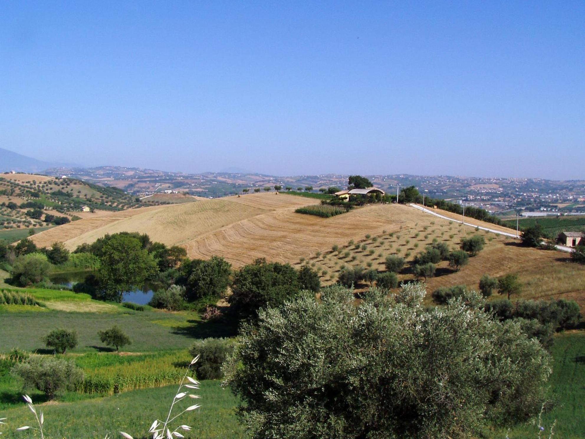Agriturismo Tenuta Santa Maria Notaresco Exterior foto
