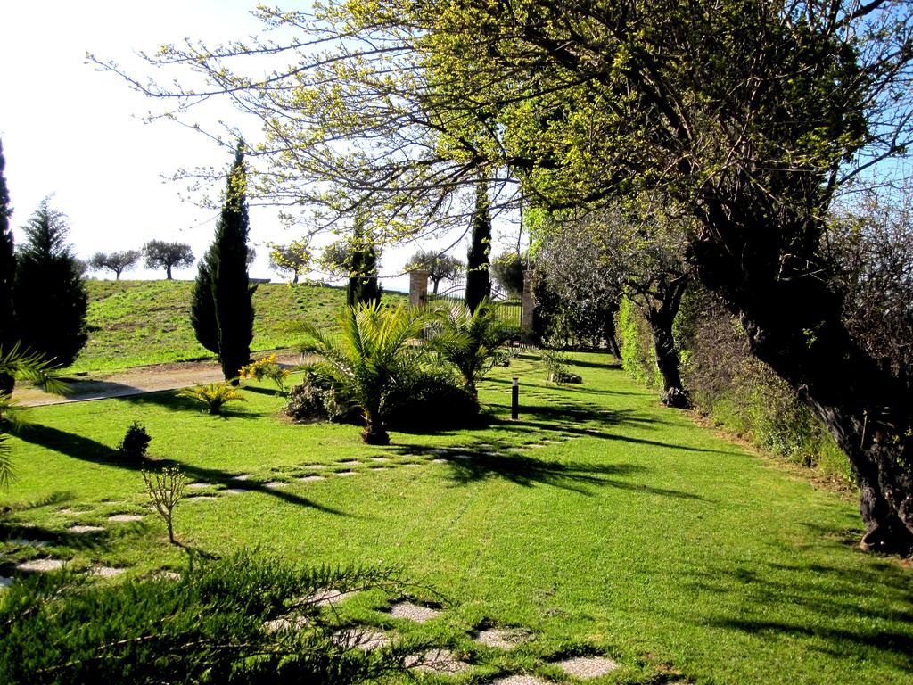 Agriturismo Tenuta Santa Maria Notaresco Exterior foto