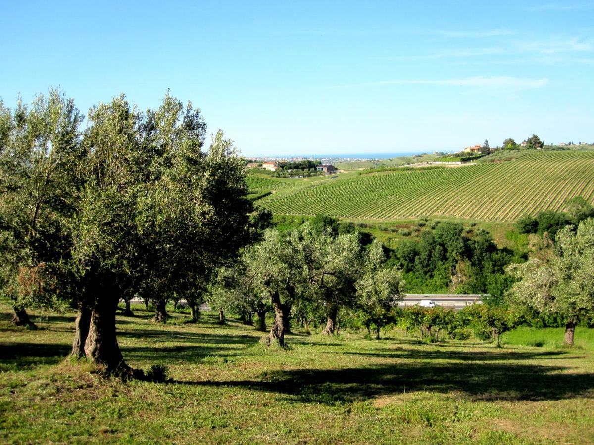 Agriturismo Tenuta Santa Maria Notaresco Exterior foto